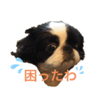 ある狆たちのくらし（個別スタンプ：2）