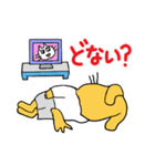 おばさん猫とおっさん犬（個別スタンプ：12）