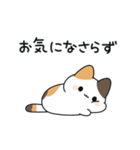 短足な三毛猫さん敬語（個別スタンプ：12）