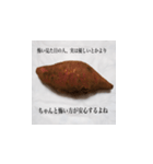 妻の御両親が送ってくれた芋類スタンプ（個別スタンプ：1）