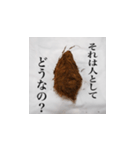 妻の御両親が送ってくれた芋類スタンプ（個別スタンプ：3）