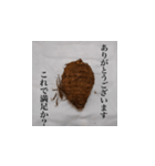妻の御両親が送ってくれた芋類スタンプ（個別スタンプ：5）