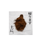妻の御両親が送ってくれた芋類スタンプ（個別スタンプ：6）