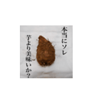 妻の御両親が送ってくれた芋類スタンプ（個別スタンプ：7）