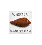 妻の御両親が送ってくれた芋類スタンプ（個別スタンプ：11）
