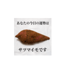 妻の御両親が送ってくれた芋類スタンプ（個別スタンプ：12）