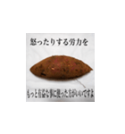 妻の御両親が送ってくれた芋類スタンプ（個別スタンプ：13）