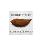 妻の御両親が送ってくれた芋類スタンプ（個別スタンプ：15）