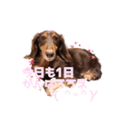 こたのおはようスタンプ（個別スタンプ：8）
