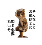 うちのゲべちゃん2（個別スタンプ：2）
