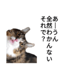 うちのゲべちゃん2（個別スタンプ：8）