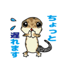 レオパ・トカゲのスタンプ（個別スタンプ：12）