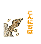 レオパ・トカゲのスタンプ（個別スタンプ：16）