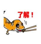 レオパ・トカゲのスタンプ（個別スタンプ：20）