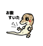 レオパ・トカゲのスタンプ（個別スタンプ：21）