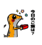 レオパ・トカゲのスタンプ（個別スタンプ：22）