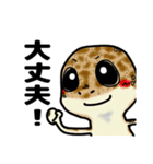 レオパ・トカゲのスタンプ（個別スタンプ：23）