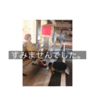 揮楽の写真集改良版（個別スタンプ：4）