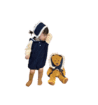 しーちゃんの日常会話3（個別スタンプ：1）