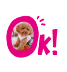 愛月と友達ワン子（個別スタンプ：2）