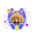 愛月と友達ワン子（個別スタンプ：5）