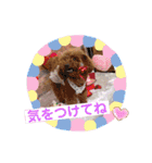 愛月と友達ワン子（個別スタンプ：6）