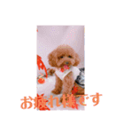 愛月と友達ワン子（個別スタンプ：7）