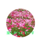 愛月と友達ワン子（個別スタンプ：9）
