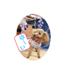 愛月と友達ワン子（個別スタンプ：11）