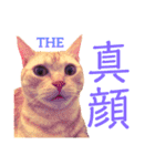 コロンたんの日常（個別スタンプ：3）