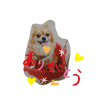 shota毎日元気（個別スタンプ：5）