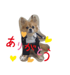 shota毎日元気（個別スタンプ：6）