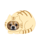 shota毎日元気（個別スタンプ：8）