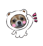 shota毎日元気（個別スタンプ：16）