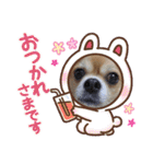 shota毎日元気（個別スタンプ：17）