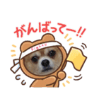 shota毎日元気（個別スタンプ：18）