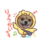shota毎日元気（個別スタンプ：24）