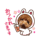 トイプードル・レオン②（個別スタンプ：3）
