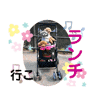 トイプードル・レオン②（個別スタンプ：7）