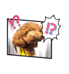 トイプードル・レオン②（個別スタンプ：29）
