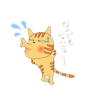 チャトラちゃんのスタンプ（個別スタンプ：6）