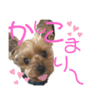 ran❤︎part2（個別スタンプ：1）