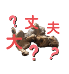 ran❤︎part2（個別スタンプ：3）