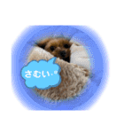 ran❤︎part2（個別スタンプ：10）