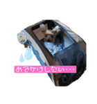 ran❤︎part2（個別スタンプ：12）