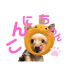 ran❤︎part2（個別スタンプ：16）