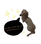 ゲームで使えそうな愛犬スタンプ（個別スタンプ：2）