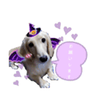 ゲームで使えそうな愛犬スタンプ（個別スタンプ：10）