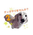 ゲームで使えそうな愛犬スタンプ（個別スタンプ：13）