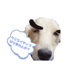 ゲームで使えそうな愛犬スタンプ（個別スタンプ：15）